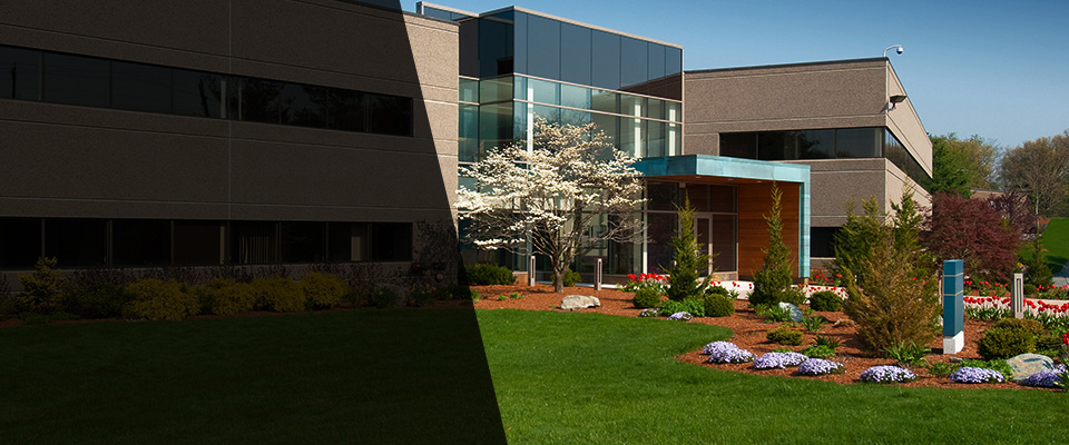 Freeport Landscapers