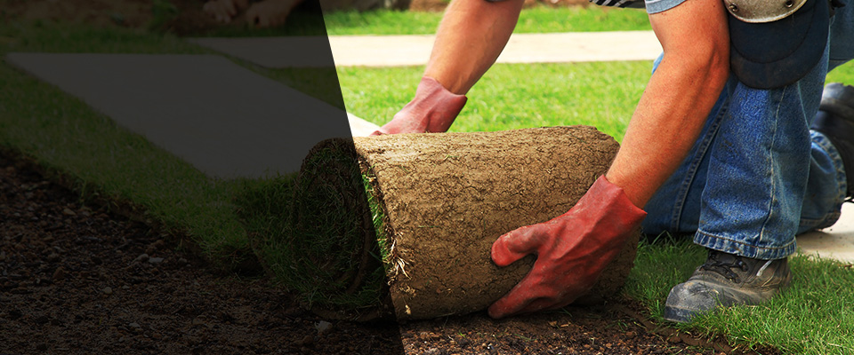 Freeport Landscapers