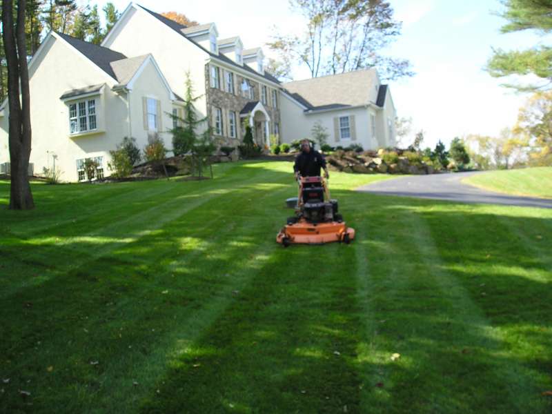 Invasive Plants/Weeding